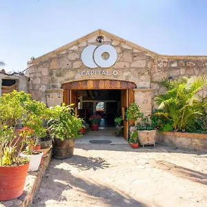 Hotel Capital O Terraza, Jalisco, Tequila